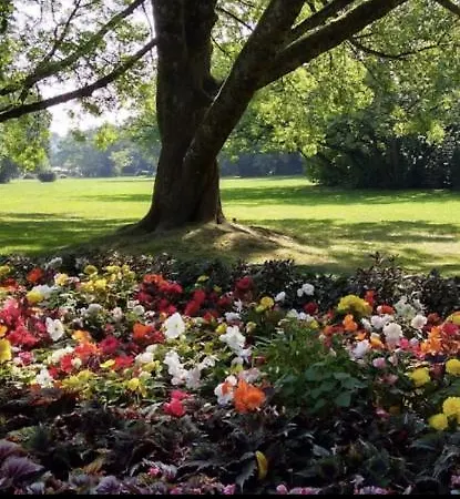 Damien * バート・ベルクツァーバーン