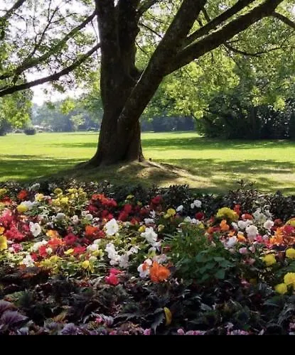 Damien * Bad Bergzabern