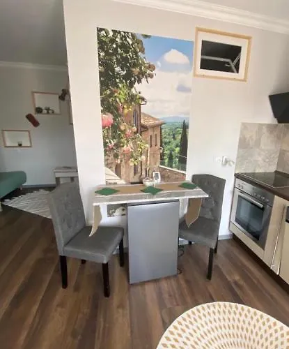 Damien Bad Bergzabern